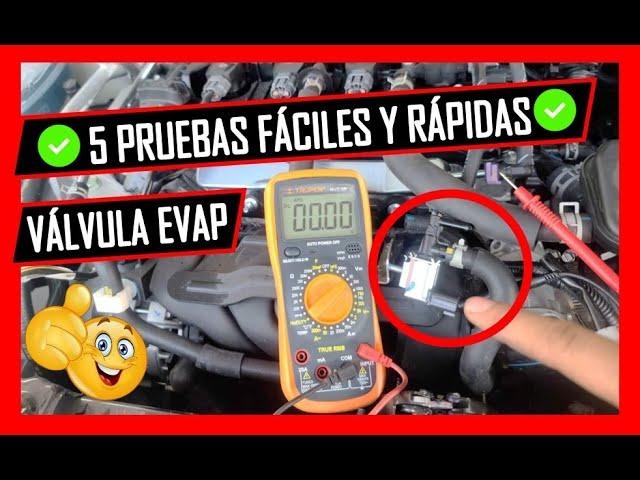  Como PROBAR La VÁLVULA De PURGA Del CANISTER Hazle Estas 5 Pruebas Fáciles y Efectivas ️