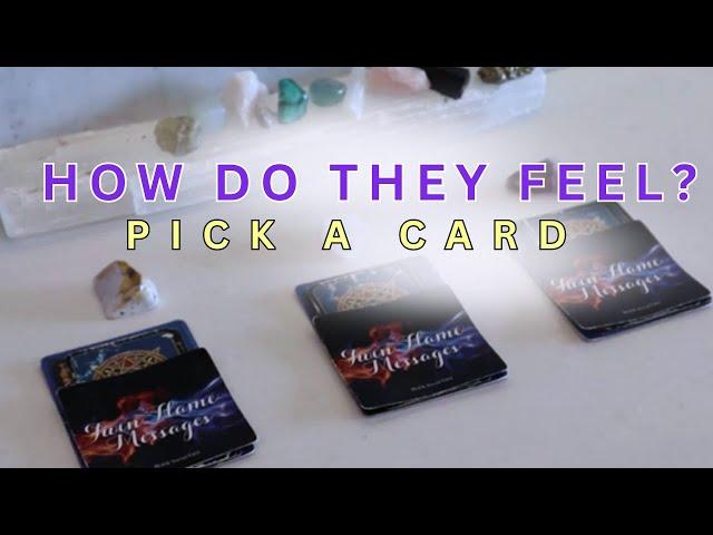 BLUNT AFHow Do They Feel About You Right Now?!Pick A Card