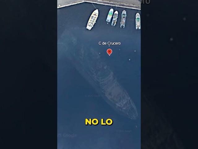 The Science of the Ghost Cruise