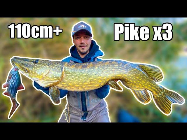 DREAM FISHING: Our BEST Pike Fishing in Small River from Shore | Team Galant