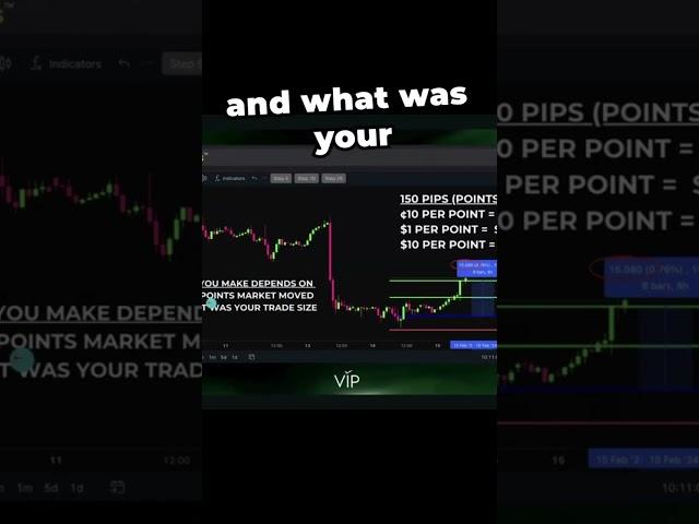 Semi-Automated Software For Gold Trading #gold #crypto #motivation #youtube #business #trading
