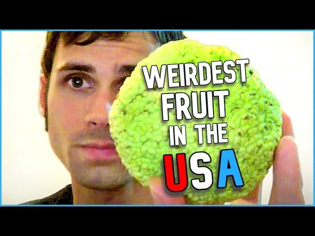 Top 10 WEIRDEST FRUIT That Grows in The USA (I actually tried them!)