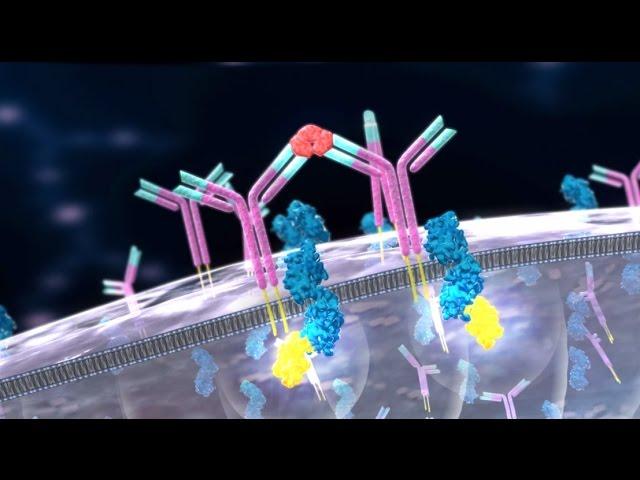 MSPrecise for Multiple Sclerosis Detection - 3D Medical Animation