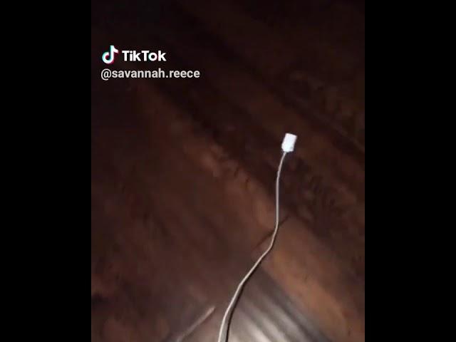 Musical.ly-plug walk vid