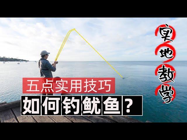 钓鱿鱼的5个小技巧，如何抽木虾？在码头如何选择鱿鱼钓点？木虾颜色怎么选？新手钓鱿鱼教学#墨尔本钓鱿鱼