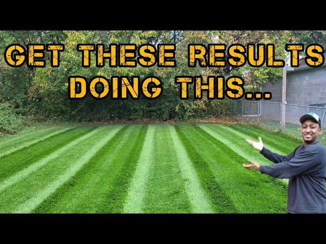 This is what happens when you RENOVATE your Lawn