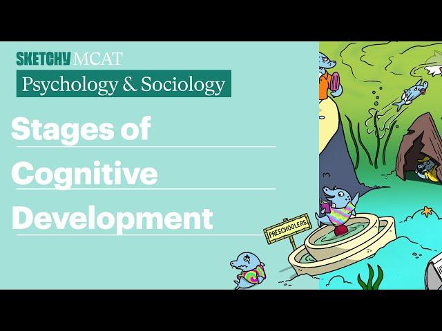 Stages of Cognitive Development (Psychology/Sociology) | Sketchy MCAT