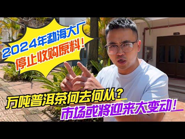 勐海大廠停止收購原料！萬噸普洱茶何去何從？市場或將迎來大變動！購茶請加微信WeChat或LINE：csaw01 （微信與LINE同號）#茶 #茶叶 #普洱茶 #古树茶#老班章#易武#喝茶