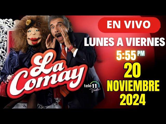 La Comay Hoy En Vivo 20 De Noviembre 2024 Puerto Rico