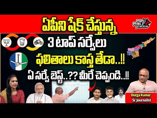 Top 3 Sensational Survey's On AP Elections 2024 | YS Jagan Vs Chandrababu | YCP Vs TDP | Wild Wolf