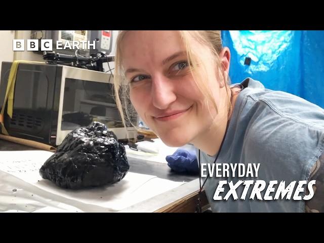 Why Being A Geologist Is More Hard Core Than You'd Think | Everyday Extremes | BBC Earth Explore