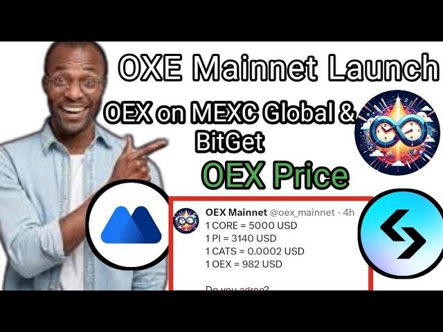 OEX Mainnet Update | OEX Token Price |  OpenEX Mainnet Launch Soon #oex #come