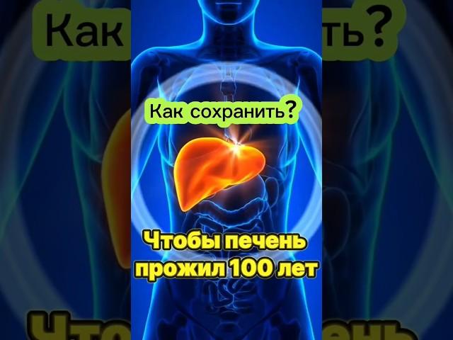 Как сохранить здоровье печени до 100 лет секреты долголетия печень полезно для печени, и что вредно