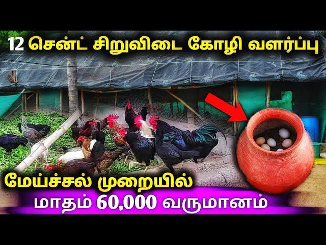 12 சென்ட் பரப்பளவில் சிறுவிடை கோழி வளர்ப்பு | twelve cent pure country chicken farm vlog in tamil