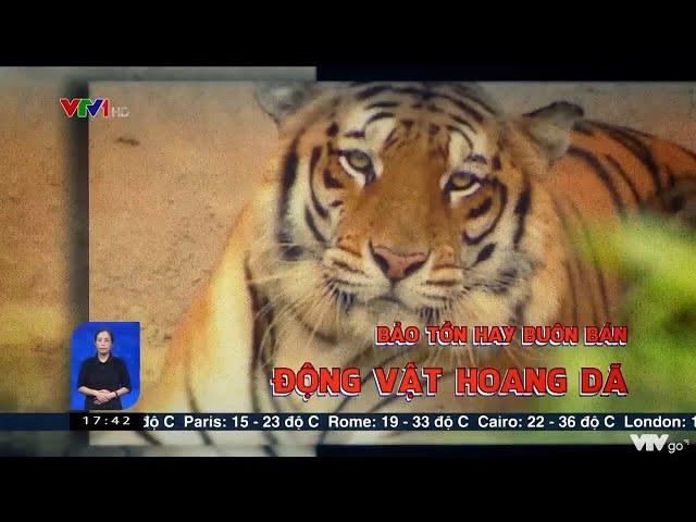 Bảo tồn hay buôn bán động vật hoang dã | VTV24