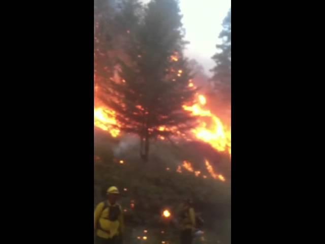 Backburn on Firestone flats wildfire