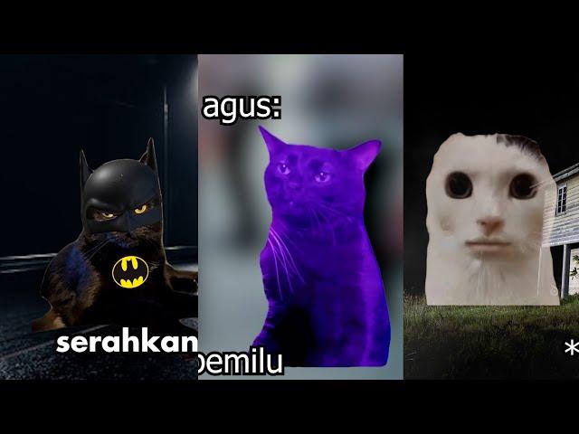 Pov : Meme Kucing 10 Menit Season 3 (episode 15 - 21)