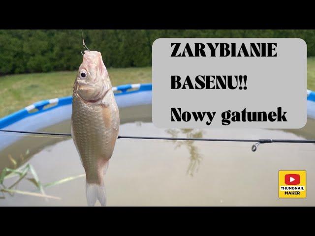 ZARYBIANIE BASENU #5 |nowy gatunek ryby| ^stan roslin^