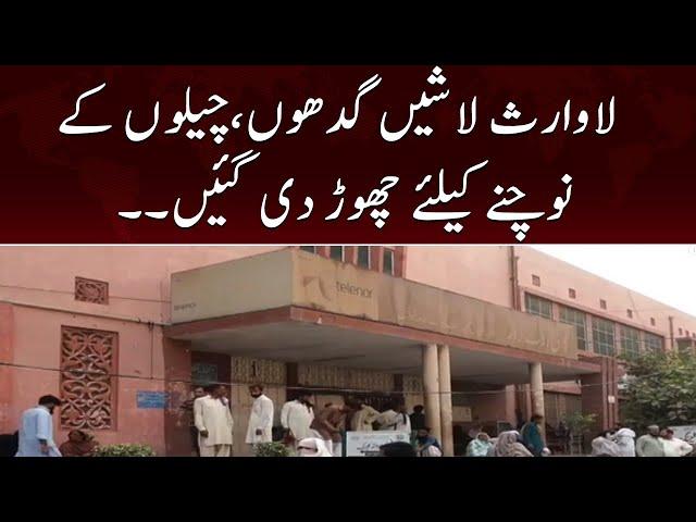 Multan ke nishtar hospital ki chat pe lawarish lashein cheel kawaon ki shikar | 14th October 2022