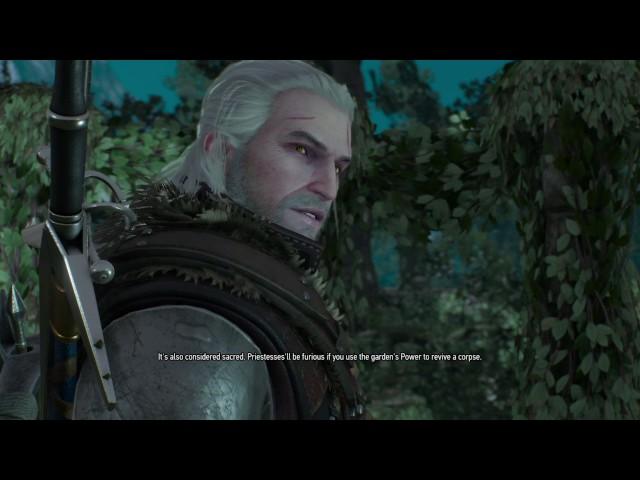 The Witcher 3:Yennefer's Sarcasm at its Finest!