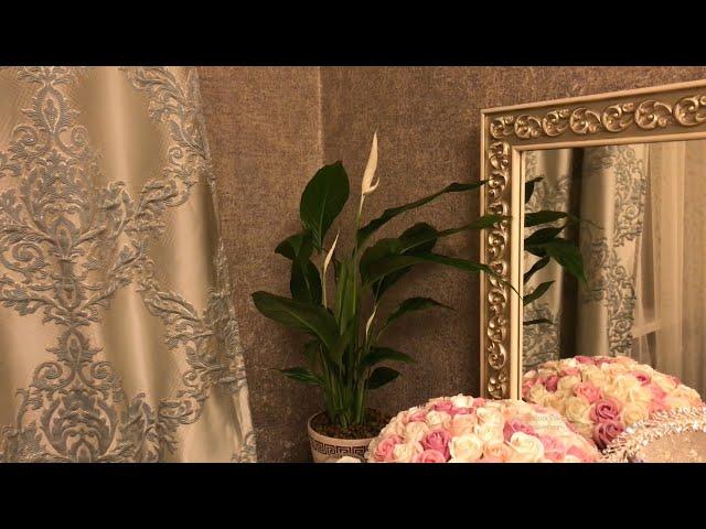 Пересадка цветка. Спатифиллум.  Женское счастье/Flower transplant. Spathiphyllum. Woman's happiness