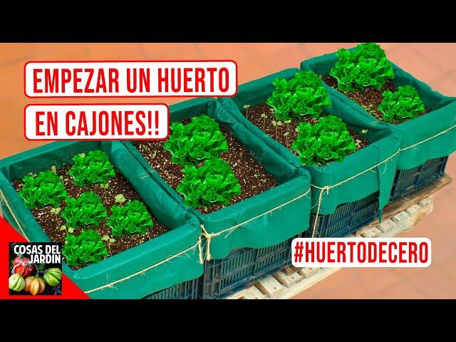 COMO HACER UN HUERTO URBANO | COMENCEMOS EN MARZO: INVIERNO O VERANO! -  #HUERTODECERO EP. 1