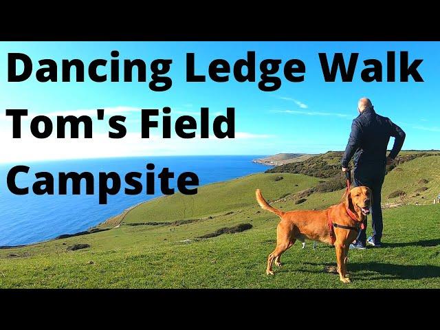 Dorset walk and campsite, Toms field and dancing ledge, Campervan, dogs