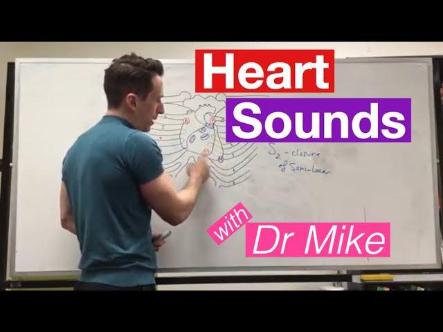 Heart Sounds & Surface Anatomy | Cardiology