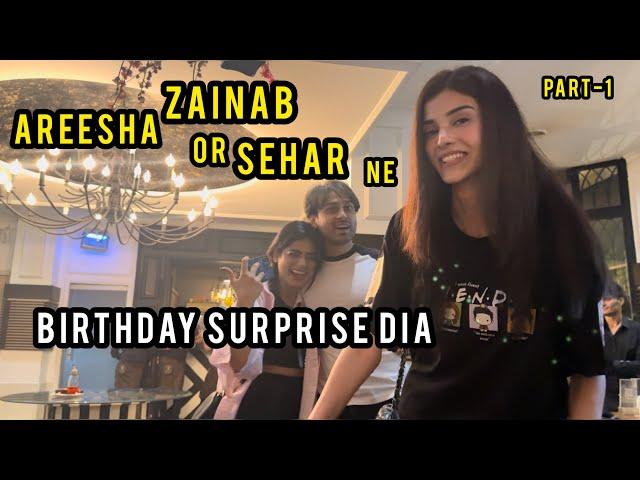 Sehar Zainab or Areesha ne birthday surprise dia | Usama phir sy late hogaya  | Part1 |HamzaShykh