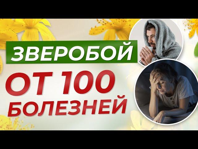 ЗВЕРОБОЙ ОТ СТА БОЛЕЗНЕЙ! ПРИРОДНЫЙ АНТИДЕПРЕССАНТ