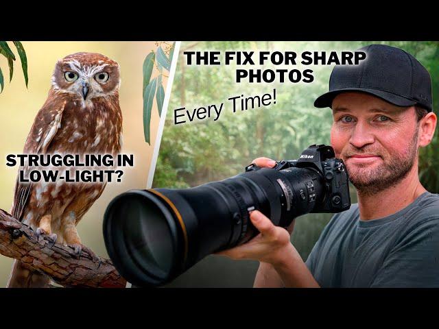 SHARP Photos in LOW LIGHT - What You Have been MISSING!