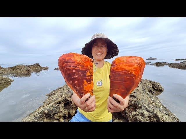 Giant horn scallops. Pearl coast. Glassy water. Lots of seafood