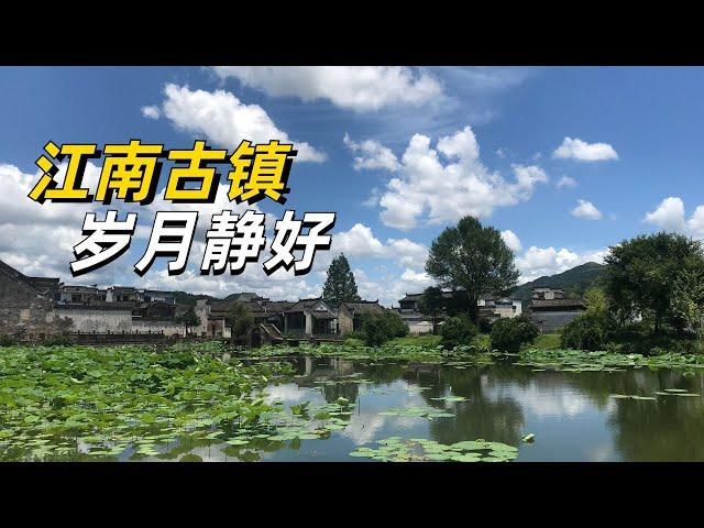 黄山旅游看江南水乡水墨徽州 呈坎古村落 明媚的阳光下  赏一池荷花