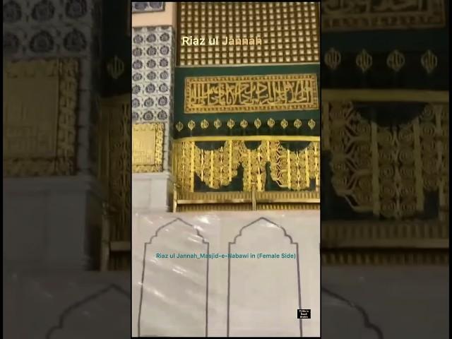 Riaz ul Jannah Female side Masjid-e-Nabawi Madina | #islam #shorts #islamicshorts