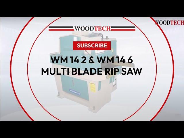 WOODTECH - WM 14 2 & WM 14 6 - MULTI BLADE RIP SAW #woodworking #factory #factoryshorts