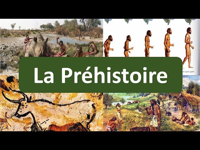 P02 : La frise historique - la Préhistoire