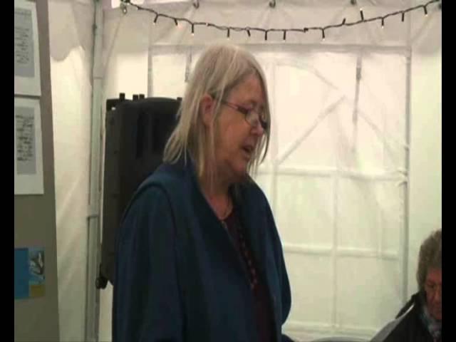 Morag Kiziewicz Reading Tears in the Fence Festival 2014