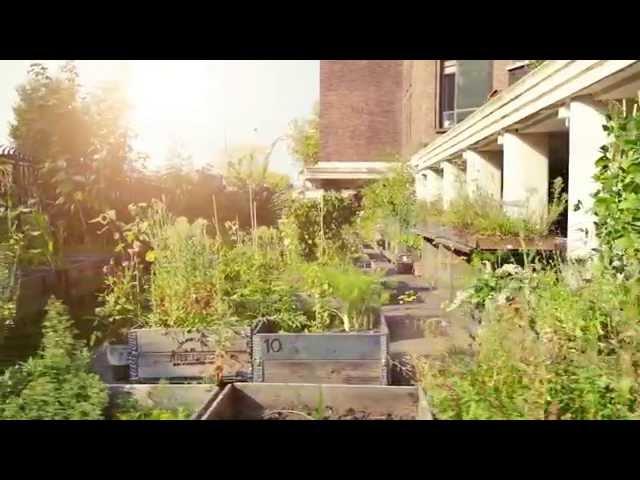 Den Ouden Groenrecycling in vogelvlucht