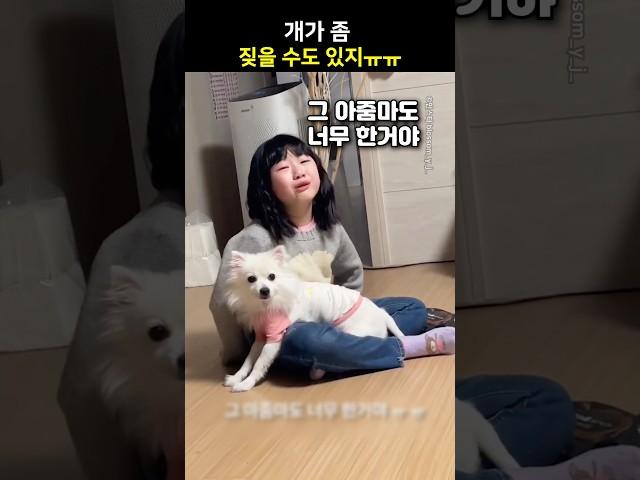 개가 좀 짖을 수도 있지ㅠㅠ