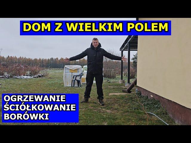 Grzejniki NIE DOGRZEJĄ, Borówki Posadzone, Kuchnia na Drewno Zrębki Ściółkowanie Dom z Wielkim Polem