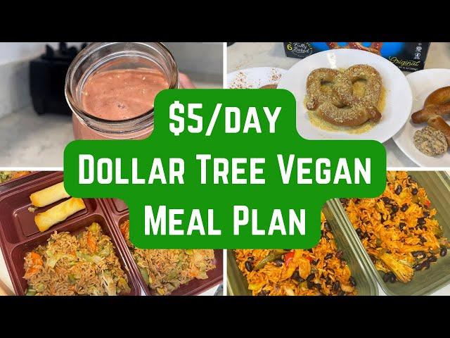 $21 Made 16 Meals from Dollar Tree Groceries