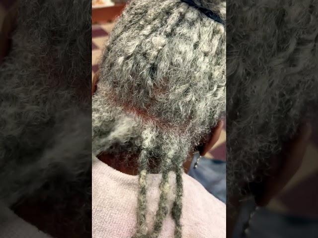 LOVE ￼HER WHITE/GRAY DREADS #beautiful #retwist #gray #hair #locs #transformation #dreadlocks