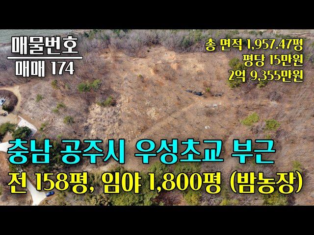 충남 공주시 밤농장 1,957평 매매, 평당 15만원 충남 부동산 - 이태호 공인중개사