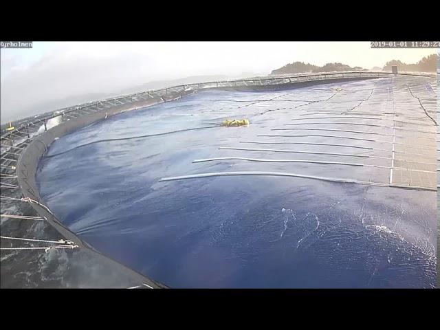 Floating Solar | Rough Sea Demonstration