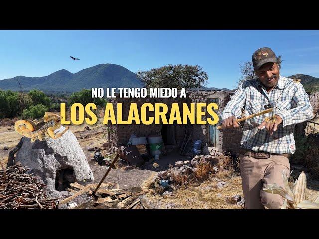 "VIVO SOLO EN LA SIERRA ALEJADO DEL BULLICIO Y LA FALSA SOCIEDAD"