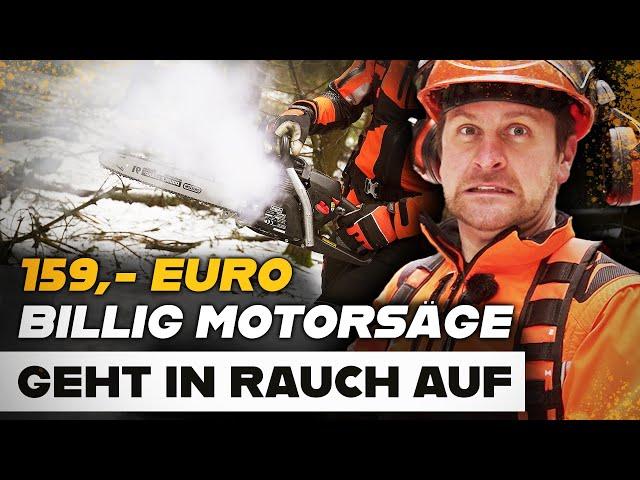 ‍️ Nicht schon wieder!!! - Billig-4-Takt Motorsägen Test