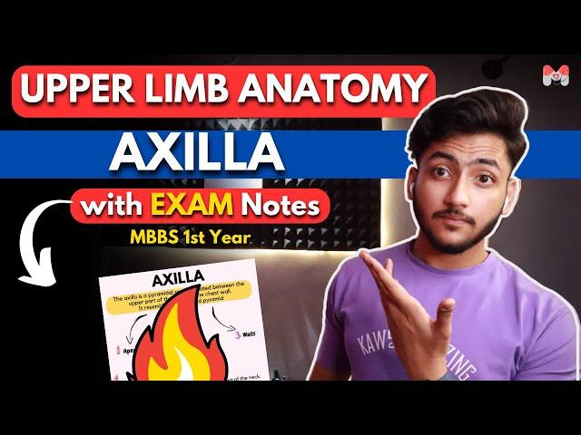 Upper Limb Anatomy - Axilla | MBBS 1st Year | Full Explanation With Exam Notes | MBBS World