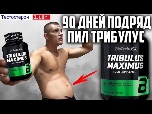 90 ДНЕЙ ПОДРЯД ПИЛ ТРИБУЛУС TRIBULUS MAXIMUS BioTechUSA, ВОТ ЧТО ВЫШЛО!