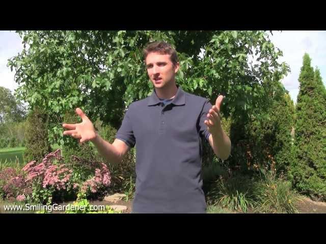 Vegetable Garden Design - 2 Tips For Setting Up Your Organic Garden