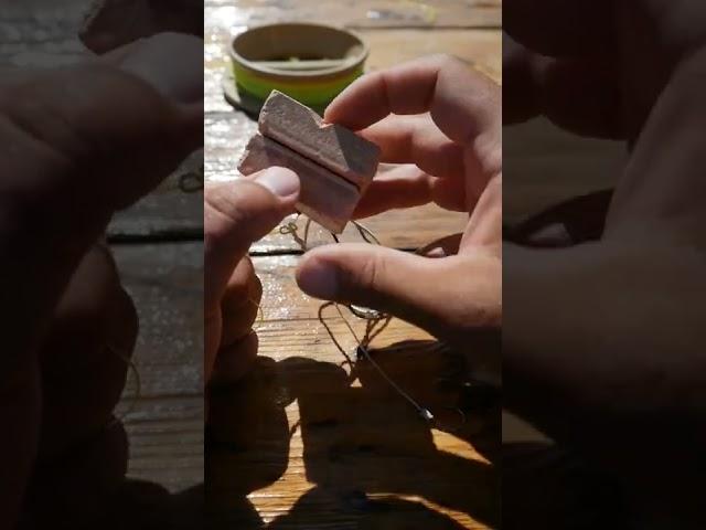 Как я ловлю сазана. Самая простая  оснастка для ловли сазана. Макушатник  своими руками.
